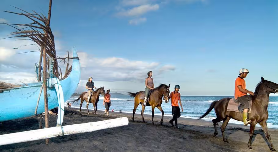 Saba Bay Stables Horse Riding on Saba Beach Saba Bay Stables Horse Riding on Saba Beach